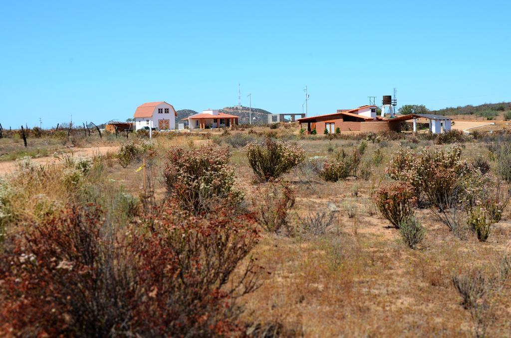 バジェ・デ・グアダルーペ Little Nest En Rancho El Rossinyolゲストハウス エクステリア 写真